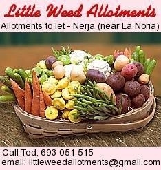 Little Weed Allotments