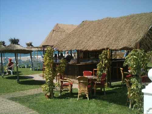 Torrox