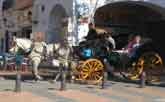 carriage ride