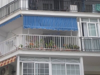 balconyplants10
