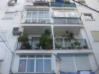 balconyplants11