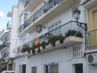 balconyplants13