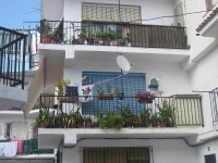balconyplants16