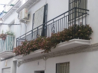 balconyplants18