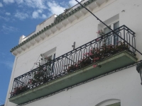 balconyplants22