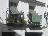 balconyplants23