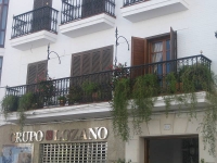 balconyplants29