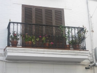 balconyplants30