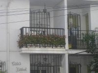 balconyplants41