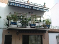 balconyplants47