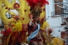 carnivalnerjafeb18th30