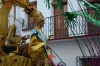carnivalnerjafeb18th43