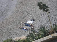 lacaletillabeachnerja1_0