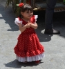 sanisidro2012115x