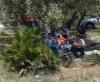 sanisidro2012129