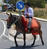 sanisidro2012135