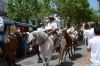 sanisidro201221