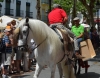 sanisidro201230