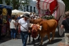 sanisidro201246