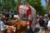 sanisidro201247