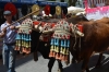 sanisidro201248