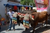 sanisidro201249