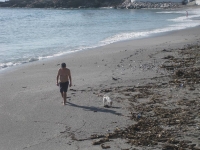 torrecillanerjajan8d