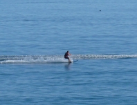 waterski3