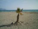 Burriana Beach, Nerja