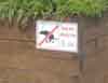 No Dogs, Nerja sign