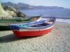 nerjafeb14-020