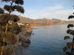 view2dec8