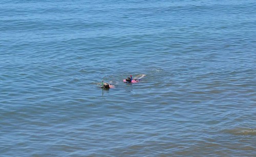 Torrecilla beach, Nerja