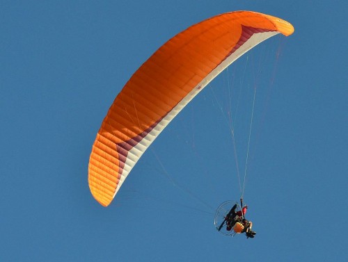 paraglider