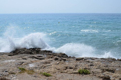 Sea