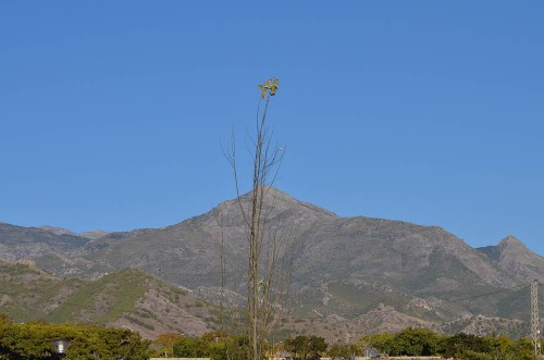 Nerja Hills