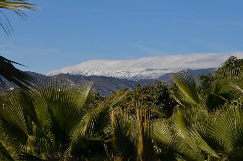 Hills Nerja