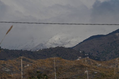 Hills Nerja