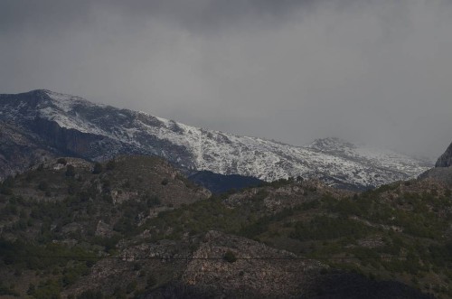 Hills Nerja