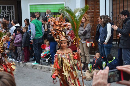 Nerja Carnival 2014