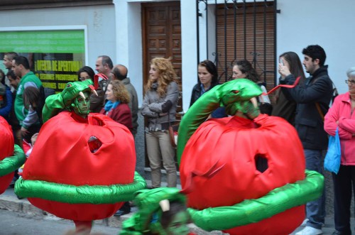 Nerja Carnival 2014