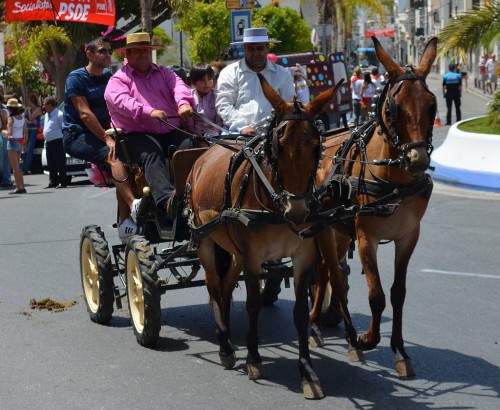 San Isidro Nerja 2014