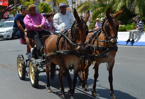 San Isidro Nerja 2014