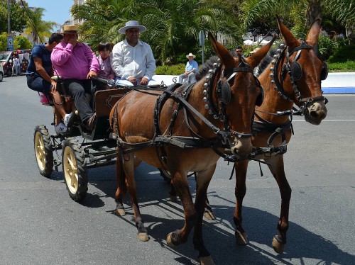 San Isidro Nerja 2014