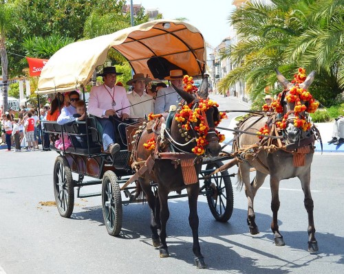 San Isidro Nerja 2014