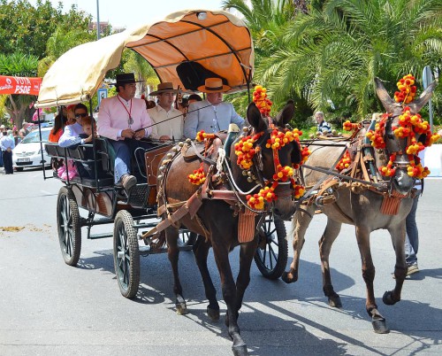 San Isidro Nerja 2014