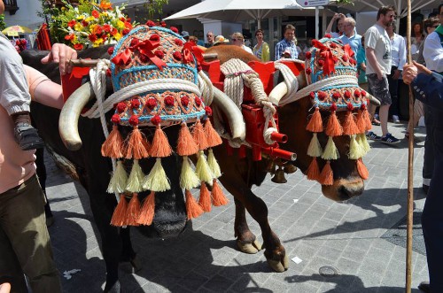 San Isidro Nerja 2014