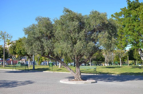 Parque La Bateria, Torremolinos