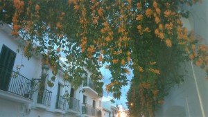 Nerja,White washed houses, charming town