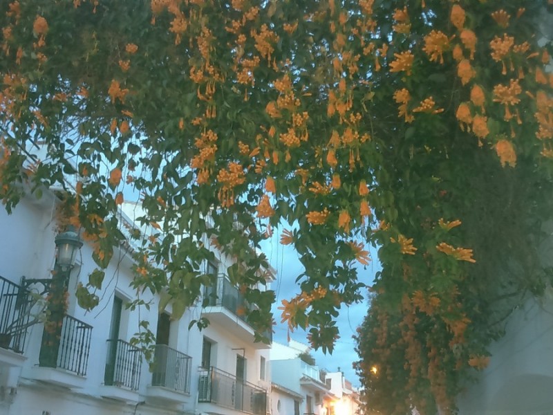 Nerja,White washed houses, charming town